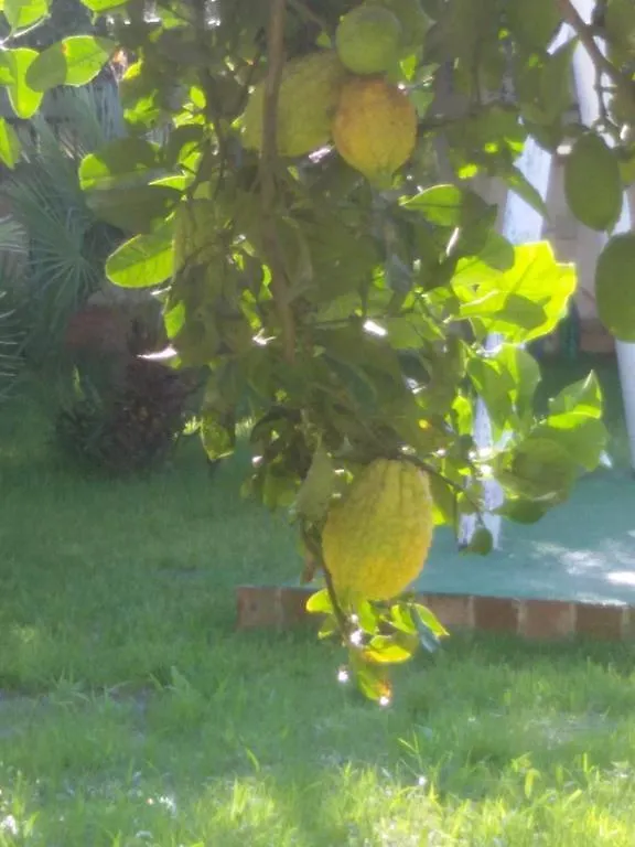 Casa Nunna Bed & Breakfast Palma di Montechiaro